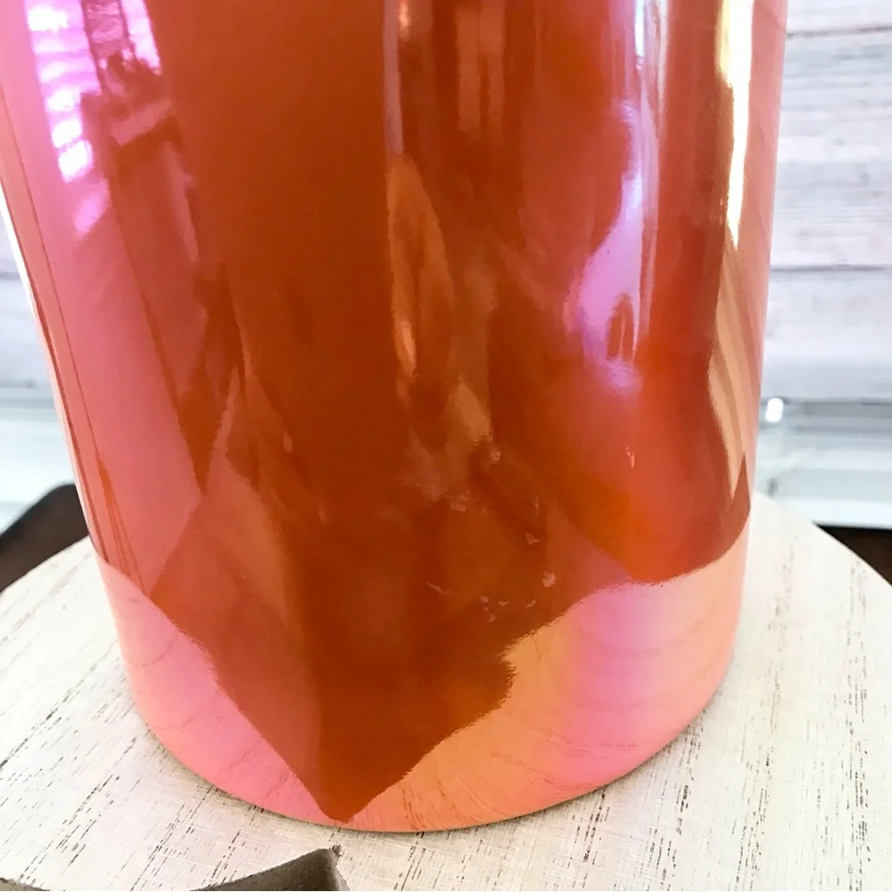 🆕Bugs and Hisses Decorative Canister